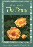 The peony