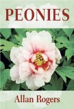 Peonies