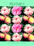 Peonies